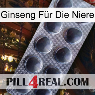 Ginseng Für Die Niere 30
